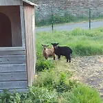 La Chaumiere Avec Piscine Privee, A 5 Minutes Du Mont St-michel Feriehus Huisnes-sur-Mer