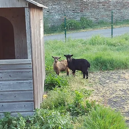 La Chaumiere Avec Piscine Privee, A 5 Minutes Du Mont St-michel Dom wakacyjny Huisnes-sur-Mer