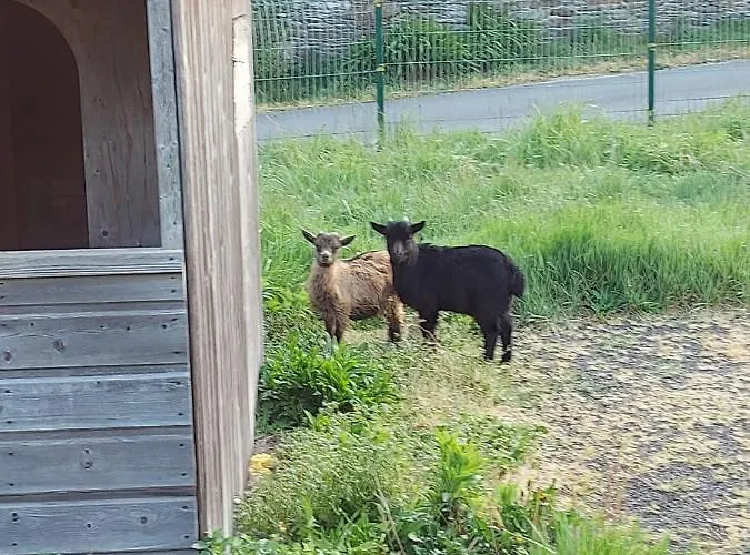 La Chaumiere Avec Piscine Privee, A 5 Minutes Du Mont St-michel Feriehus Huisnes-sur-Mer